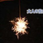 大人の手持ち花火セット【危険じゃない上品な線香花火】