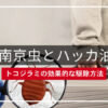 【南京虫とハッカ油】トコジラミの効果的な駆除方法