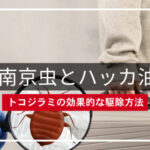【南京虫とハッカ油】トコジラミの効果的な駆除方法